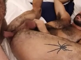 Hairy Otter bareback fucked by Daddy